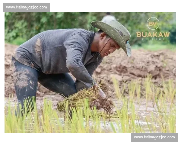 达占巴对决播求巅峰一战揭示泰拳与踢拳的时代碰撞与传奇宿命之夜